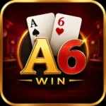 A6 W in Game